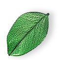 floating_leaf_01 https://mb-clean.be/wp-content/uploads/2025/07/floating_leaf_01-1.png